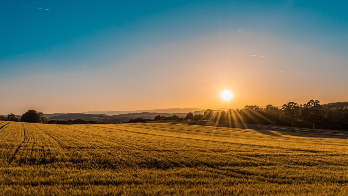Unveiling the Red Flags: Crucial Considerations Before Buying Land