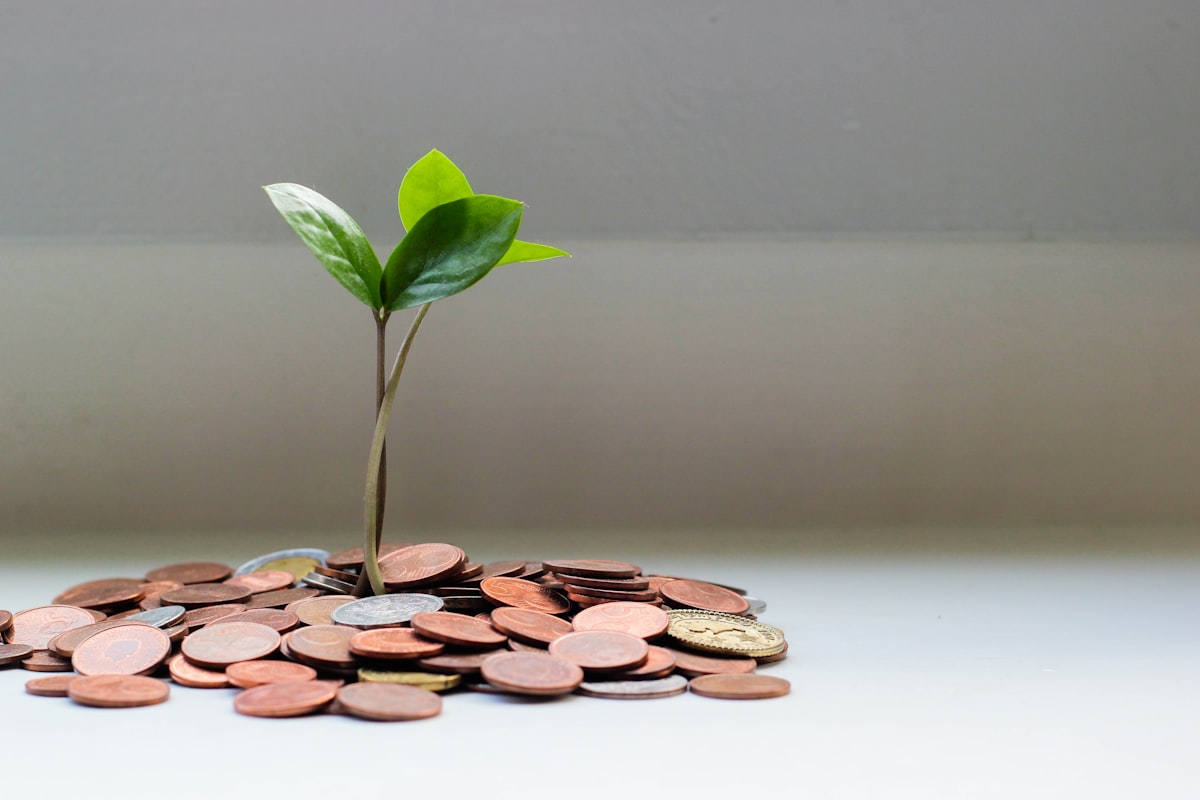 Sustainable Wealth – How to create wealth despite the inflation
